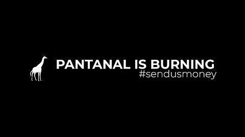 Pantanal is burning, send us money | Senso Incomum