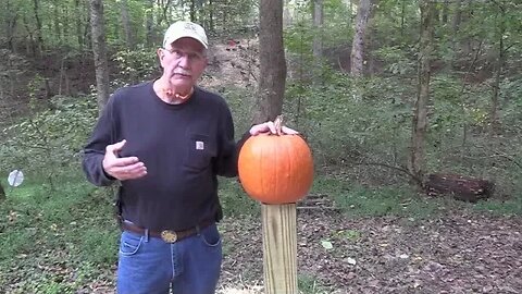 Pumpkin Carving with a Glock 19