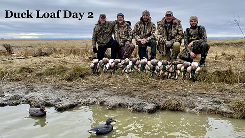 Cattle Pond Duck Loaf Hunt: 5-Man Limit on Day 2