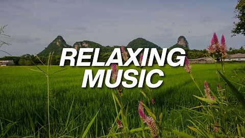 Relaxing Music for Stress Relief. Soothing Music for Meditation