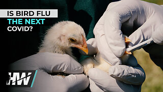 IS BIRD FLU THE NEXT COVID?