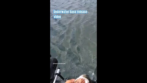 Underwater Bass Release Video