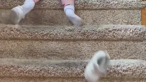 Baby's Creative Stair Method