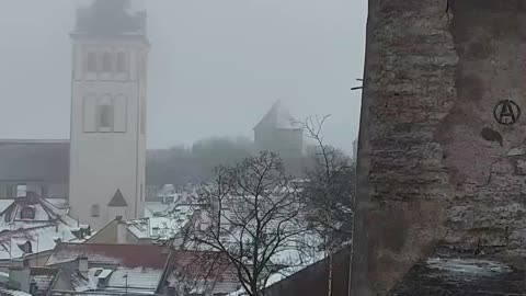 Kohtuotsa Viewing Platform | Tallinn Old Town | Estonia | UNESCO World Heritage | Baltics #Tallinn