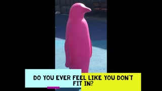 Pink Penguin