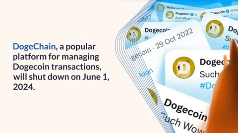 DogeChain to Cease Operations: Withdraw Dogecoin (DOGE) Now