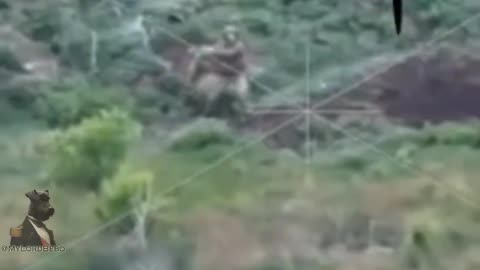 Russian Soldier Saves Himself Throwing Potatoes Sack At Drone