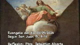 Evangelio del día 02/05/2024 según San Juan 15, 9-11 - Pbro. Sebastián Alcorta