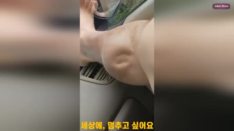 현실과 괴이 사이