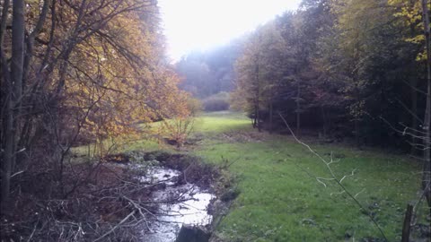 Odenwald Highlands and Scottish folk music / Schottische Musik in den odenwälder Highlands