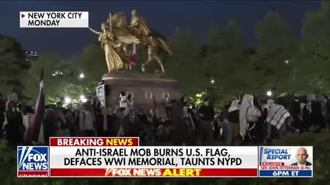 Anti-Israel agitators burn US flag, deface WWI monument