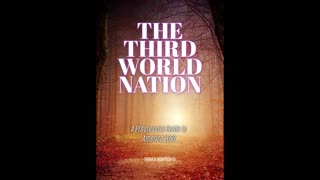 THE THIRD WORLD NATION: A PROGRESSIVE’S GUIDE TO AMERICA 2050 CHAPTER 1