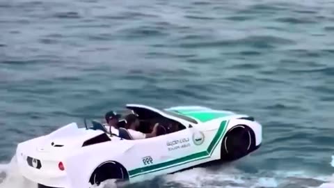 Dubai Police includes a diverse fleet of water vehicles