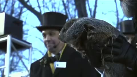 Punxsutawney Phil predict six more weeks of winter