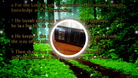 Holy Bible Proverbs 2