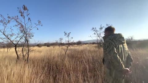 ADRENALIN! The leader lion saw that other lions were ATTACKING us