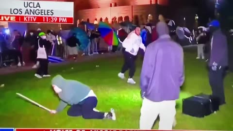 Fights Between Protestors at UCLA