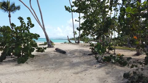 Playa El Portillo, Las Terrenas, November 18, 2022