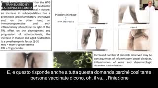 TERMOGRAFIA DI VACCINATI