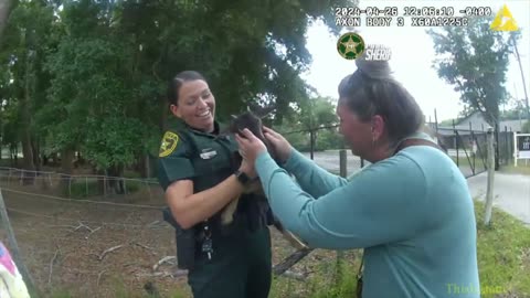 Marion County Sheriff's deputies chase and detain a baby goat