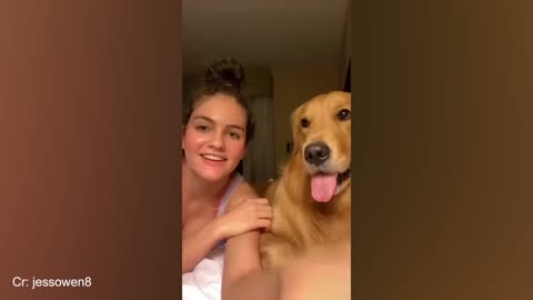 Try not to laugh at these dogs🤣