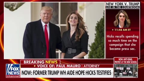 Hope Hicks on the stand