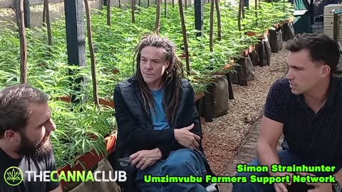 High Hopes: South Africa's Cannabis Revolution Unleashed!