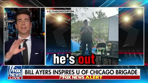 Theres A Terrorist Nexus Staring Us In The Face Mob Rule Won - Jesse Watters