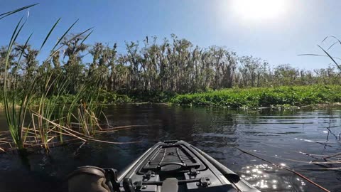 Kayak Fly Fishing Review of Lake Haines in Polk County, Florida
