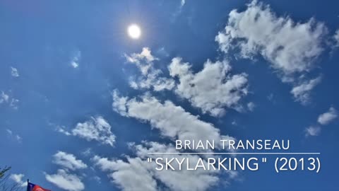 20240501 "Skylarking"