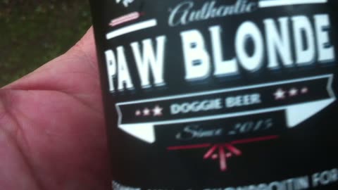 Bought my HUSKY MATILDA a Dog BEER for her Birthday
