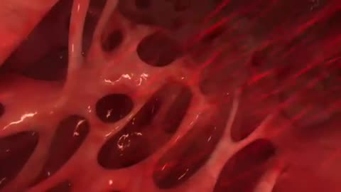 Traveling Through the Human Heart Using Virtual Reality