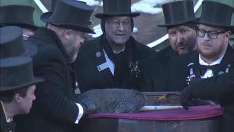 Punxsutawney Phil sees shadow, declaring six more weeks of winter