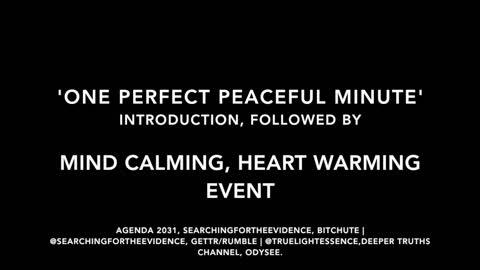 ONE PERFECT PEACEFUL MINUTE INTRODUCTION, FOLLOWED BY MIND CALMING, HEART WARMING EVENT