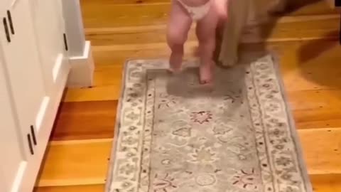 Dog to play a kids