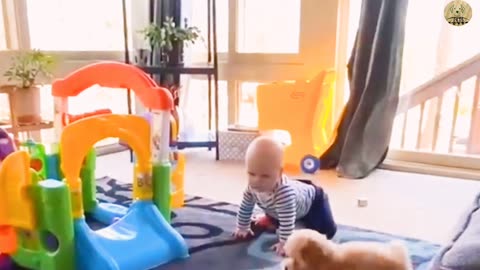 Cute Baby playing with dog funny movement at home | #dog