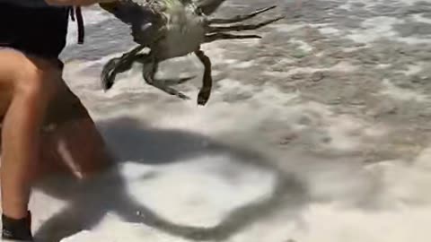 Crab attack
