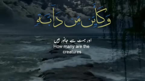 Islamic Video Al Quran Beautiful Voice