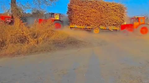 Balaras Tractor510 Working in Village#Powerfull Tractor#village#field working
