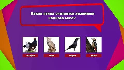 Quiz about birds and children