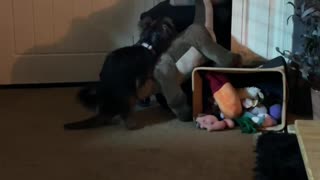 Naughty puppy caught humping dinosaur