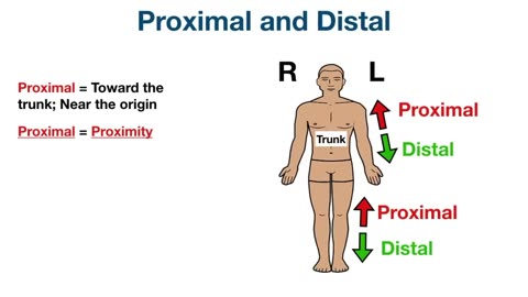 Anatomical Position and Directional Terms [Anatomy MADE EASY]