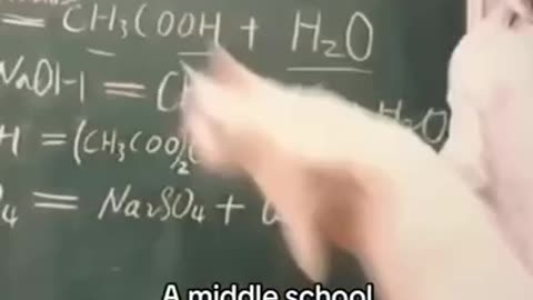 Teacher using a cat as a blackboard pointer 🤣👍