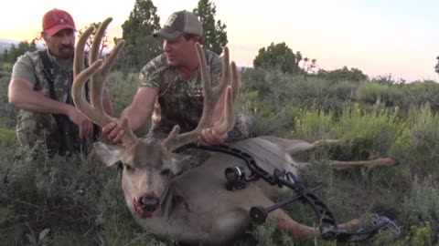 80 Yard Bow Shot on a Massive Mule Deer!