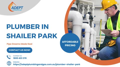 Pipe Dreams Made Real: Your Plumber in Shailer Park
