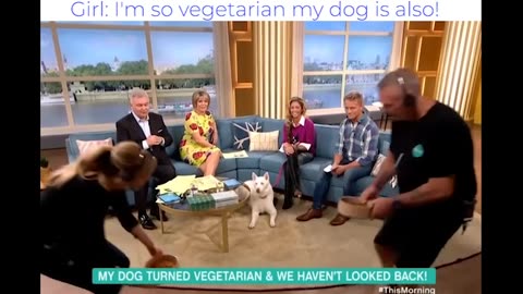 I'm so vegetarian my dog is also!