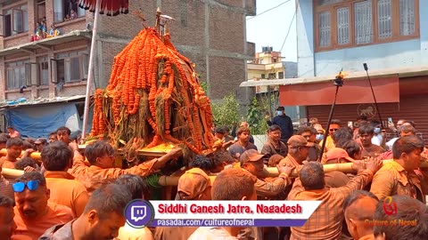 Siddhi Ganesh Jatra, Nagadesh, Madhyapur Thimi, Bhaktapur, 2081, Part III