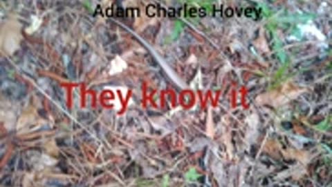 Adam Charles Hovey-They know it