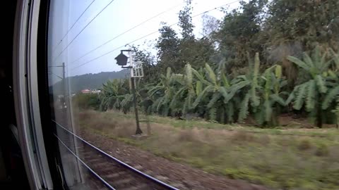Taiwan Railway Journey scenery Tainan Taichung 136 Puyuma railway scenery