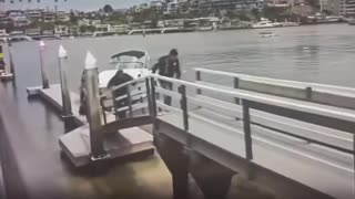 Dozens of Illegals Dock at Marina before Storming into a Nearby Neighborhood